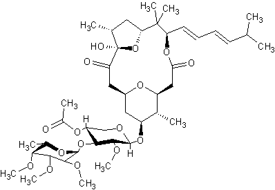 �������������� B